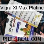 Vigra Xl Max Platinum 11